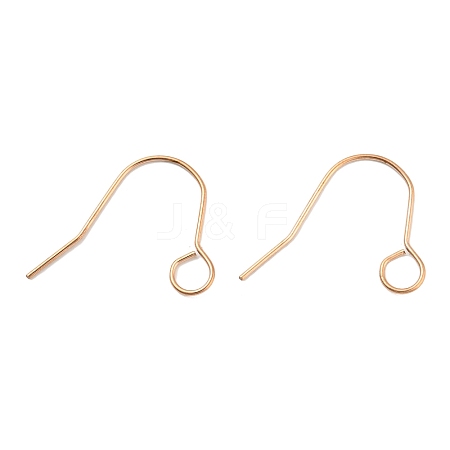 304 Stainless Steel Earring Hooks STAS-B047-31RG-1