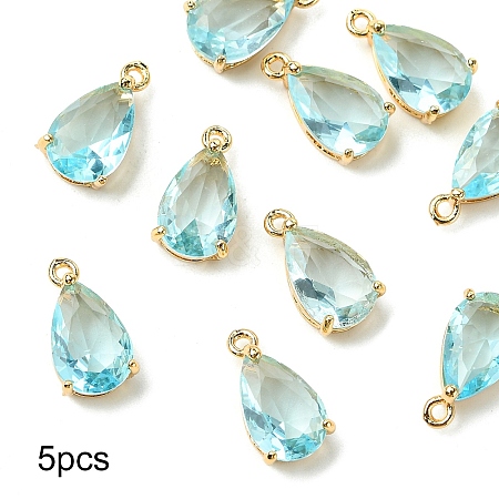 5Pcs Transparent Glass Charms GLAA-YW0004-41E-1