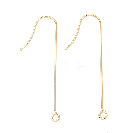 316 Surgical Stainless Steel Earring Hooks X-STAS-E027-02A-G-1