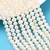 Natural Cultured Freshwater Pearl Beads Strands PEAR-L034-11B-1