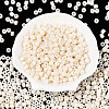 Opaque Baking Paint Glass Seed Beads SEED-T008-02A-3