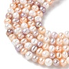 Natural Cultured Freshwater Pearl Beads Strands PEAR-C004-12-4