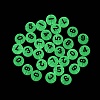 Luminous Transparent Acrylic Beads TACR-Q013-06A-5