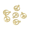 Rack Plating Brass Charms KK-C007-08G-1