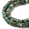 Natural Turquoise Beads Strands G-P506-01-3