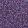 MIYUKI Delica Beads X-SEED-J020-DB0922-3