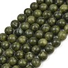 Olive Z0NCT015-2