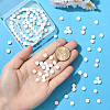 2 Strands Natural Freshwater Shell Beads Strands SSHEL-SC0001-36A-4
