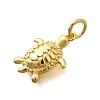 Brass Pendants KK-D339-20G-02-2