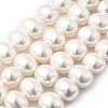 Shell Pearl Beads Strands BSHE-F013-01R-2