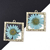 Epoxy Resin Pendants LS-X-RESI-T045-029D-1