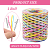 Segment Dyed Raffia Paper Cords for DIY Craft OCOR-WH20020-27C-2