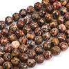 Natural Leopard Skin Jasper Round Bead Strands G-P072-45-10mm-2