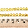Natural Amber Beads Strands G-L095-B01-5mm-01-5