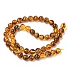 Natural Amber Beads Strands G-L095-B01-8mm-04-5