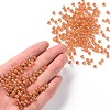 6/0 Glass Seed Beads X1-SEED-A007-4mm-169-4