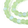 Frosted Transparent Glass Beads Strands GLAA-T032-T4mm-MBB17-3