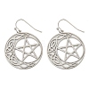 Tarnish Resistant 304 Stainless Steel Dangle Earrings for Women EJEW-F338-04P-01-1