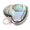 Natural Abalone Shell/Paua Shell Copper Wire Wrapped Pendants PALLOY-JF03007-4