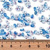 Baking Paint Glass Seed Beads SEED-C003-01F-4