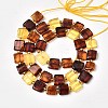 Natural Amber Beads Strands G-C260-A01-05-3