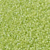 MIYUKI Delica Beads SEED-MY11-DB0860-3