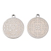 304 Stainless Steel Pendants SA-CBA404E-01A-01-1