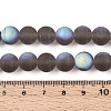 Frosted Transparent Glass Beads Strands LS-GLAA-T032-T10mm-MBB02-4
