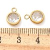 304 Stainless Steel Clear Cubic Zirconia Charms STAS-Q345-24G-3