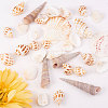 Natural Scallop Shell Beads SSHEL-CJ0001-02-6