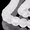 Natural Quartz Crystal Beads Strands G-T106-329-2