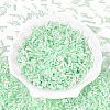 Glass Bugle Beads X-SEED-N007-28G-2