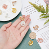 5 Pairs 5 Colors Alloy Stud Earring Findings PALLOY-AR0001-18-2