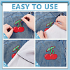 20Pcs 20 Styles Fruits Computerized Embroidery Cloth Iron on/Sew on Patches PATC-AR0001-18-3