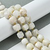 Natural Moonstone Beads Strands G-Q010-A05-01-2