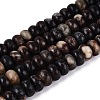 Natural Biotite Beads Strands G-N367-02A-15-2