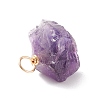 Rough Raw Natural Ametrine Pendants PALLOY-JF01697-5