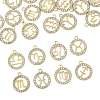 24Pcs 12 Styles Zinc Alloy Crystal Rhinestone Pendants FIND-FS0004-40-2
