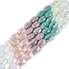 Electroplate Imitation Jade & Opaque & Transparent Glass Beads Strands EGLA-Q135-4x6MM-01D-1