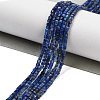 Natural Lapis Lazuli Beads Strands G-H042-B42-01-2