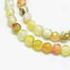 Natural Fire Crackle Agate Bead Strands G-R344-4mm-23-1