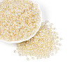 Transparent Colours Luster Glass Seed Beads SEED-N008-09G-1