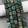 Natural Shoushan Jade Beads Strands G-B155-D16-1