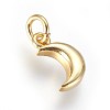 Enamel Brass Charms KK-G364-16G-01-2