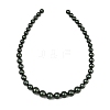 Electroplated Shell Pearl Graduated Beads Strands BSHE-C011-04-02-5