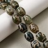 Tibetan Style dZi Beads Strands G-S389-A06-1