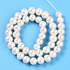 Natural Cultured Freshwater Pearl Beads Strands PEAR-N016-09D-3