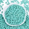 Baking Paint Glass Seed Beads X1-SEED-K010-A19-3