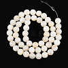 Natural Freshwater Shell Beads Strands X-SHEL-N038-05-2