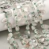 Natural Green Lodolite Quartz Beads Strands G-P604-A20-01-1